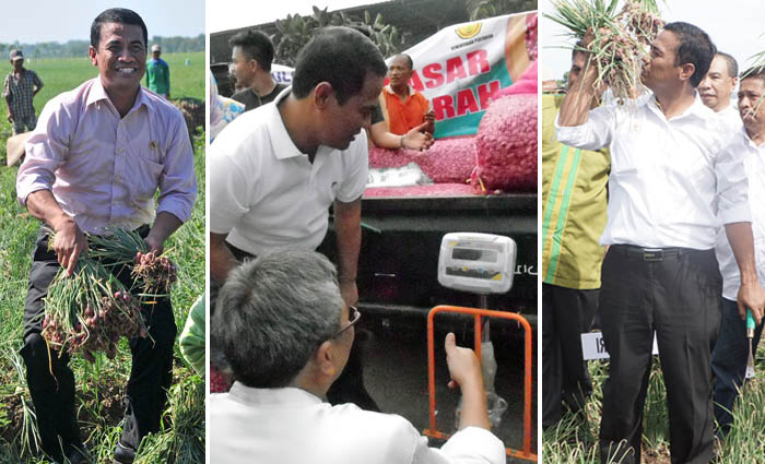 Bawang Merah Tak Perlu Impor, Brebes dan Bima Pasok 90 Ribu Ton